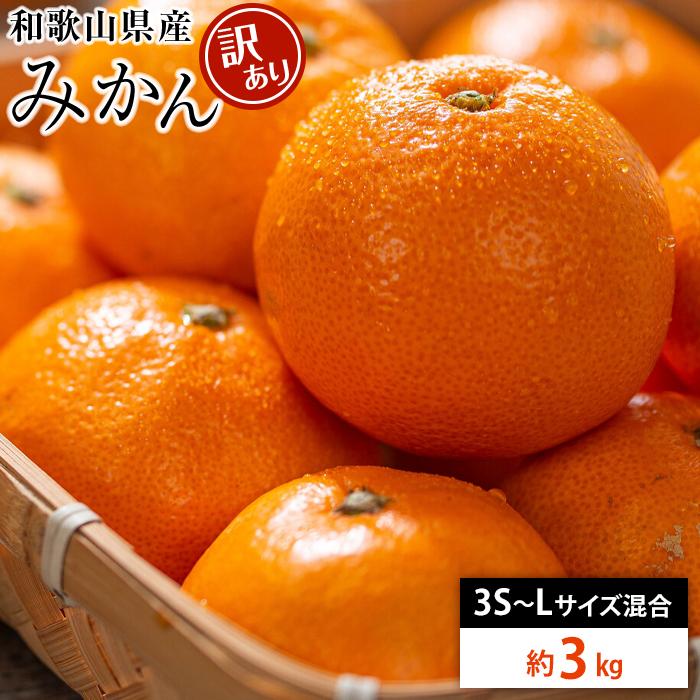 和歌山県産 糖度 12.5度以上 訳あり みかん 3kg 3S〜Lサイズ混合【MG56】和歌山県那智勝浦町8000果物・フルーツみかん・柑橘類