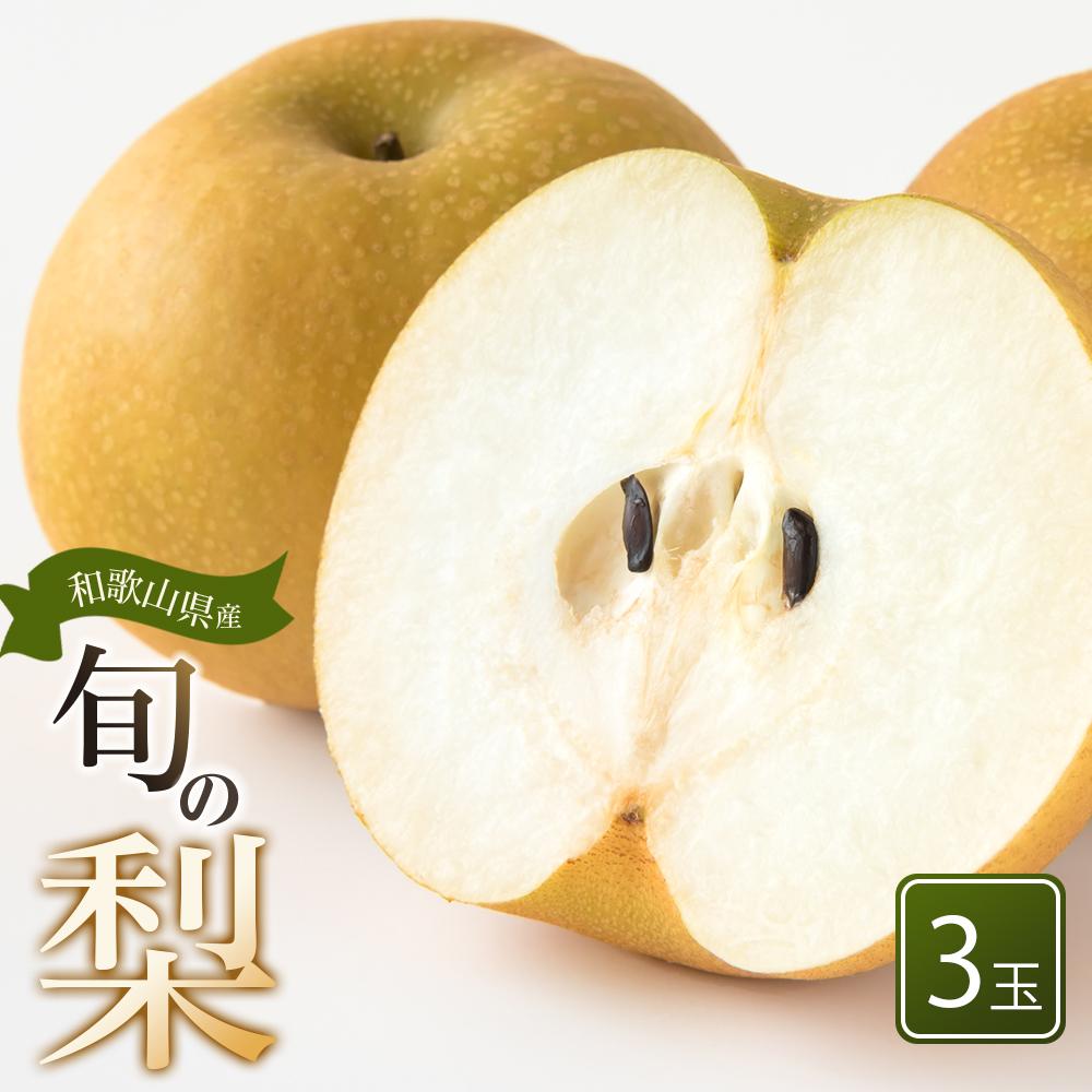 和歌山県産 旬の梨 3玉(4Lサイズ) 【2024年8月中旬以降順次発送】【MG18】和歌山県那智勝浦町10000果物・フルーツりんご・梨