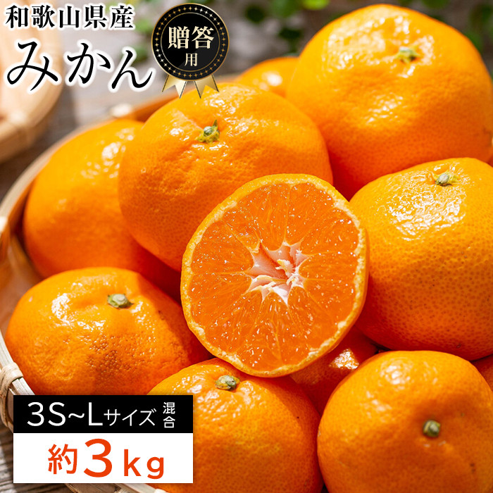 和歌山県産 糖度 12.5度以上 秀品 贈答用 みかん 3kg 3S〜L サイズ混合 【MG54】和歌山県那智勝浦町10000果物・フルーツみかん・柑橘類