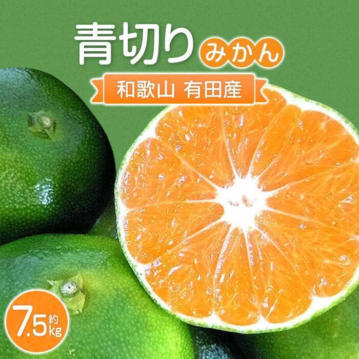 こだわりの 青切りみかん 約7.5kg【2024年9月下旬より順次発送】和歌山県那智勝浦町11000果物・フルーツみかん・柑橘類