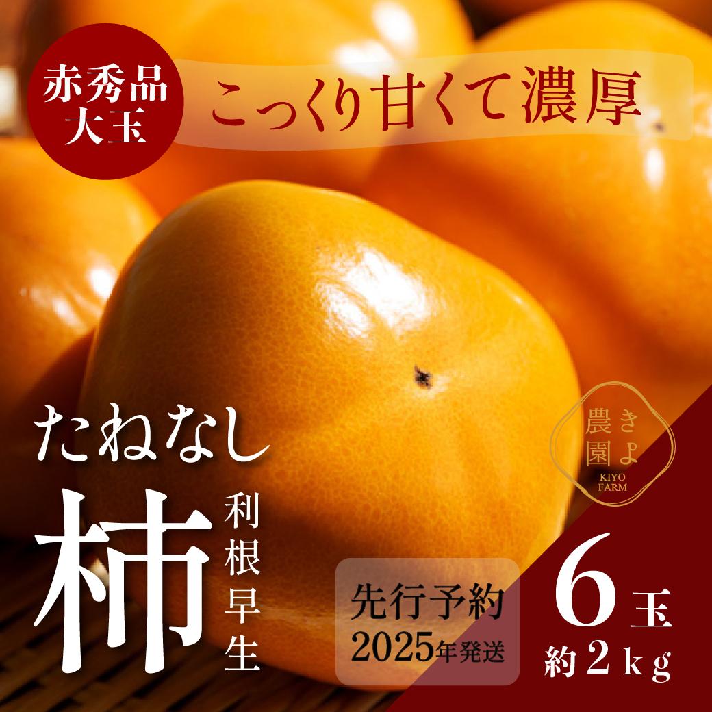 `(햳) 6 (2kg)  Giʁy2025N9{蔭zyKT1za̎RߒqY10000ʕEt[c̑ ʕEt[c