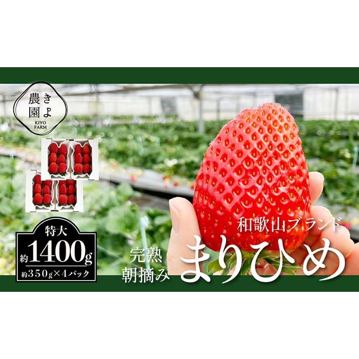 ܂Ђ߃C`S E 6`11×4pbNm2026N1{蔭nms\nmKT4na̎RߒqY22000ʕEt[c