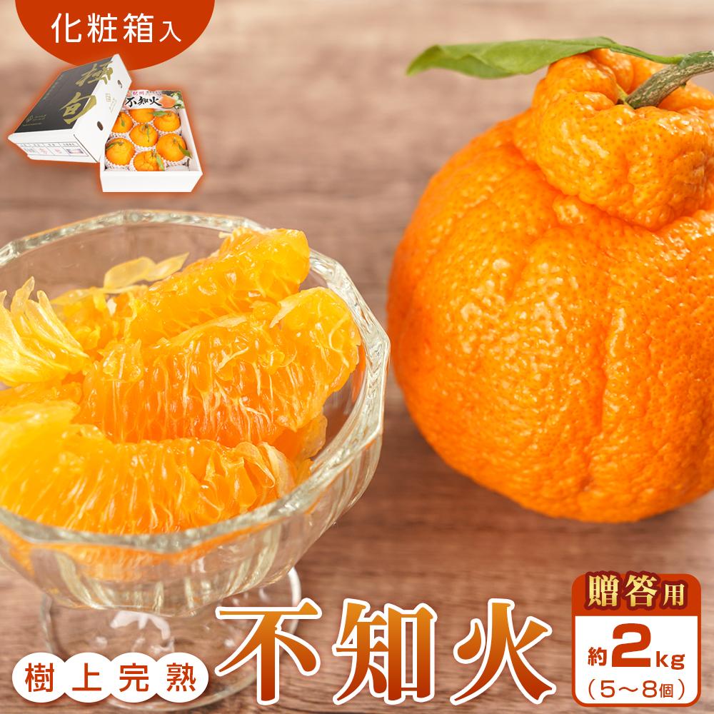 【贈答用化粧箱入】 不知火 樹上完熟 約2kg (5〜8個入)【2026年2月下旬頃〜3月下旬頃発送】【KG10】和歌山県那智勝浦町13000果物・フルーツみかん・柑橘類