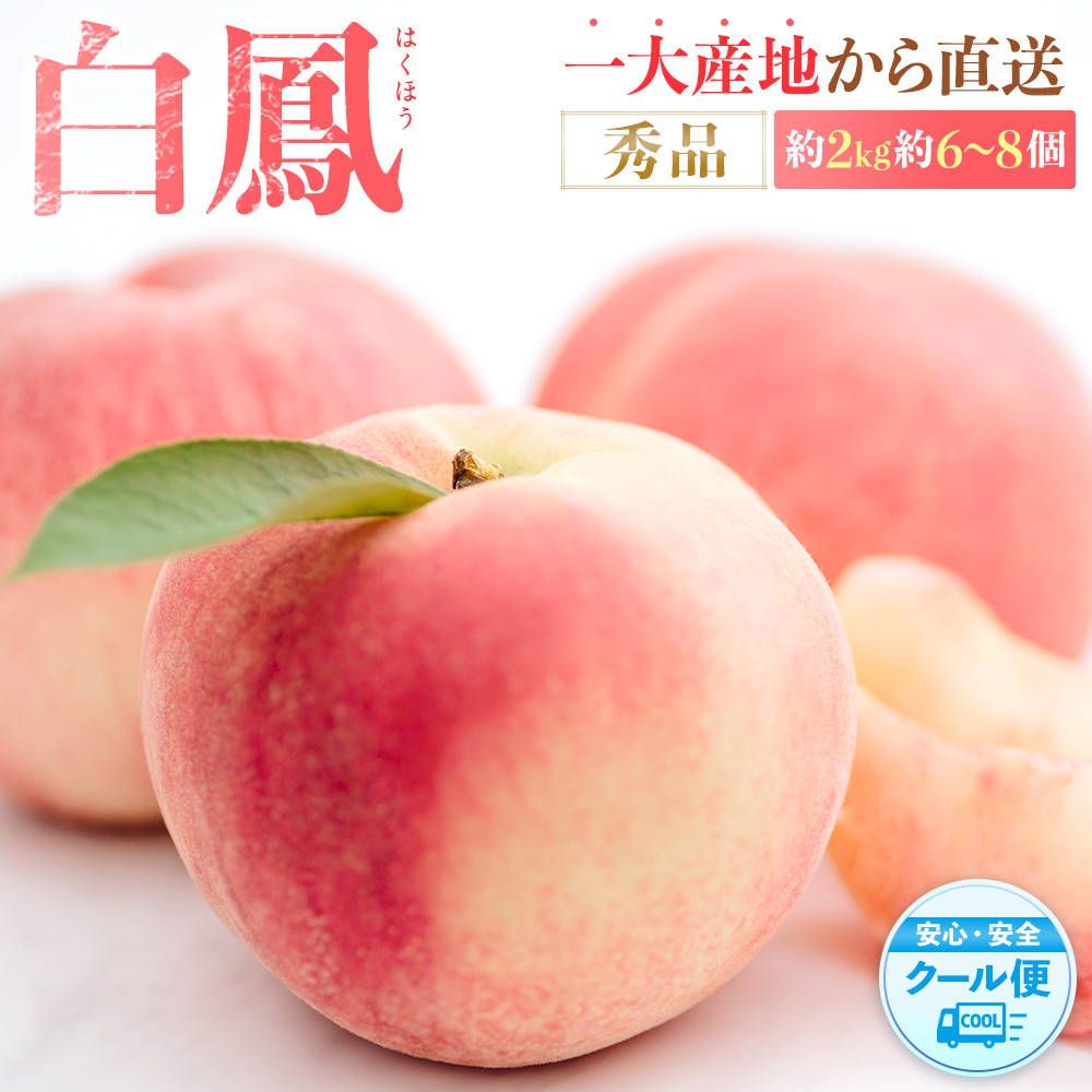 s̔Imn P@̉lI2kg6`8 m2026N6{菇nmGin_ƌI mKG12na̎RߒqY17000ʕEt[cE
