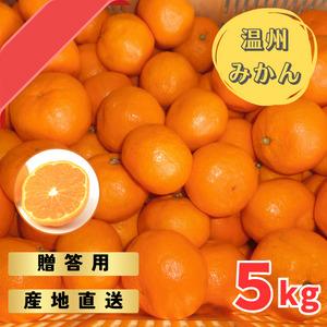 宮川早生みかん 贈答用特選 5kg箱入【WS3】和歌山県那智勝浦町13000果物・フルーツみかん・柑橘類