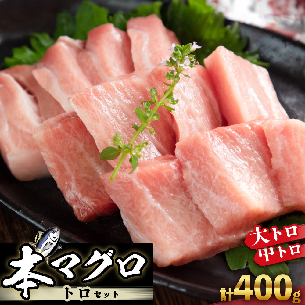 本マグロ トロセット 400g | 【年末年始お届け可能】大トロ 中トロ 鮪 刺身 寿司 お正月和歌山県那智勝浦町26000魚介・海産物鮮魚