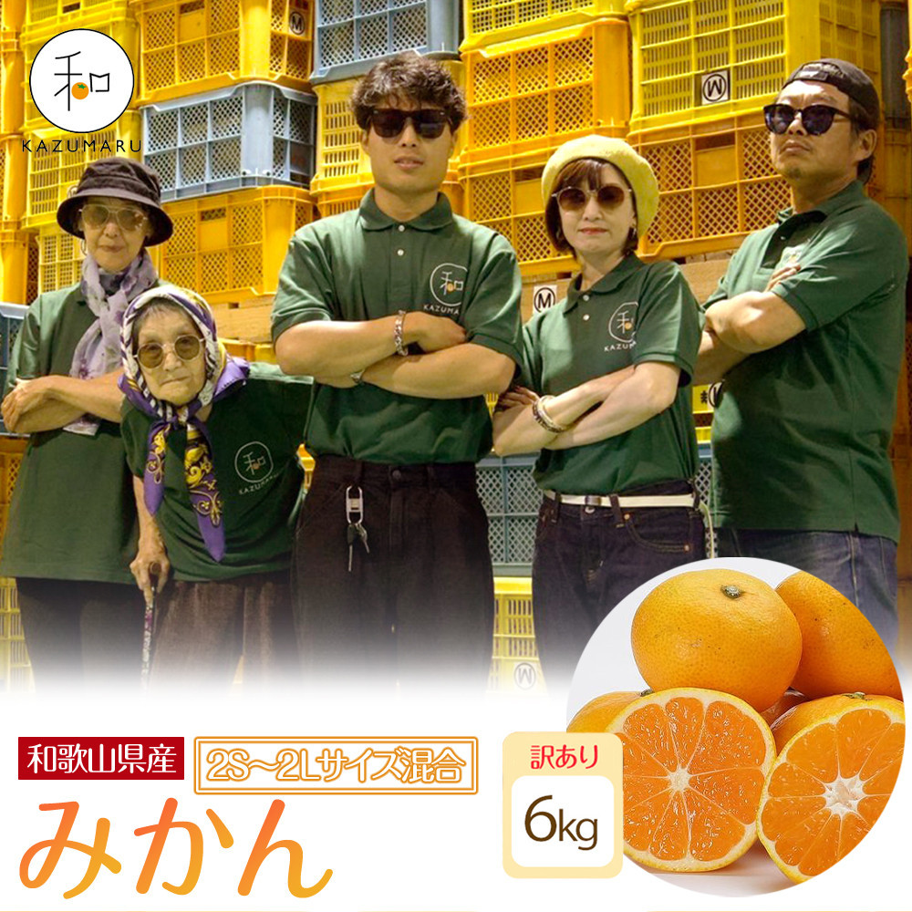 󂠂 X{_̎I ݂ 6kg a̎RY 2S~2LTCY mkCEEzsnmRN9nm2025N11{珇na̎RߒqY8000ʕEt[c݂Ek