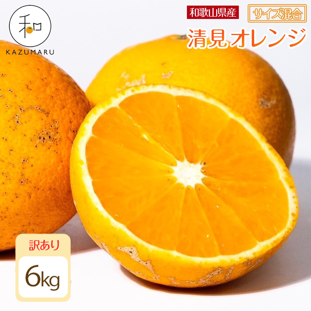 󂠂 X{_̎I IW 6kg a̎RY TCY mkCEEzsnmRN24nm2026N2{5{\na̎RߒqY8000ʕEt[