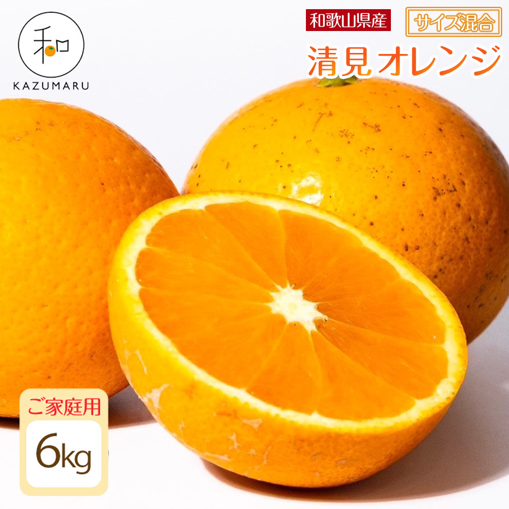 ƒp X{_̎I IW 6kg a̎RY TCY mkCEEzsnmRN38nm2026N2{5{\na̎RߒqY10000ʕEt[