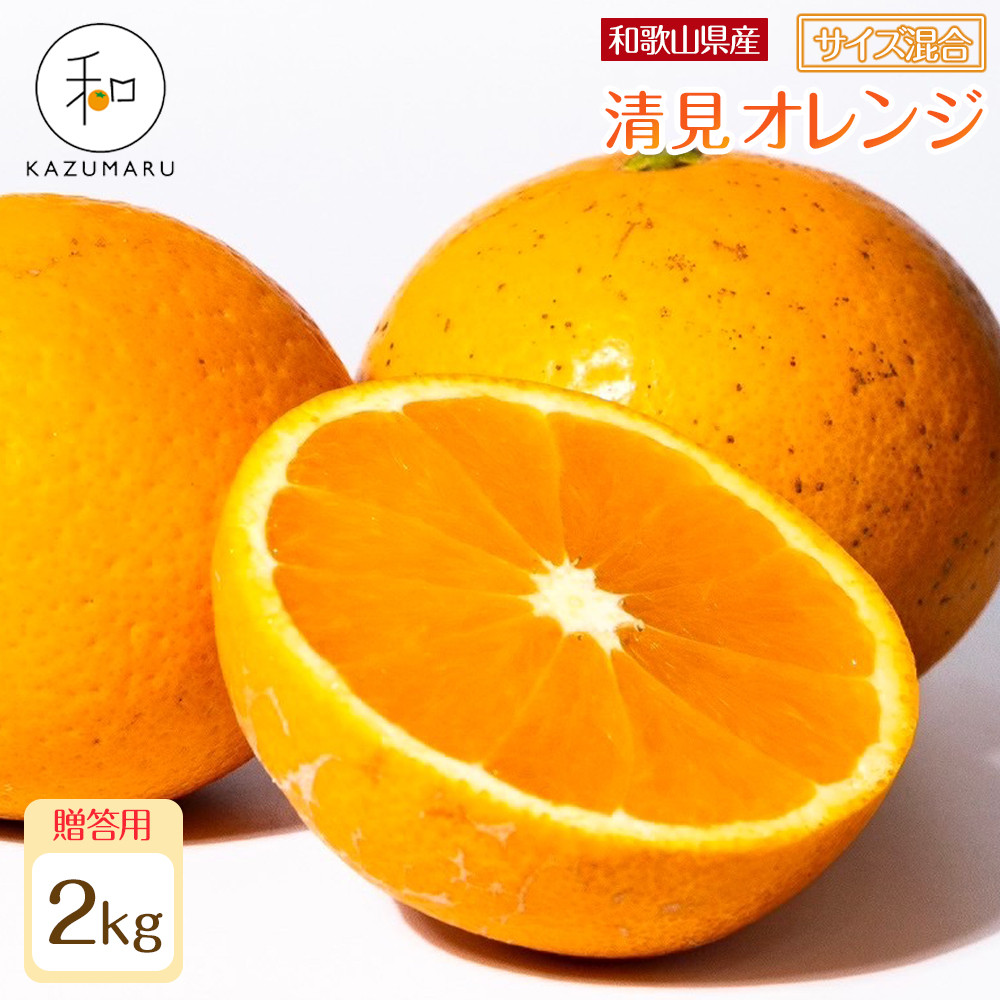 p X{_̎I IIW 2kg a̎RY TCY mkCEEzsnm2026N2{5{\nmRN88na̎RߒqY8000ʕE