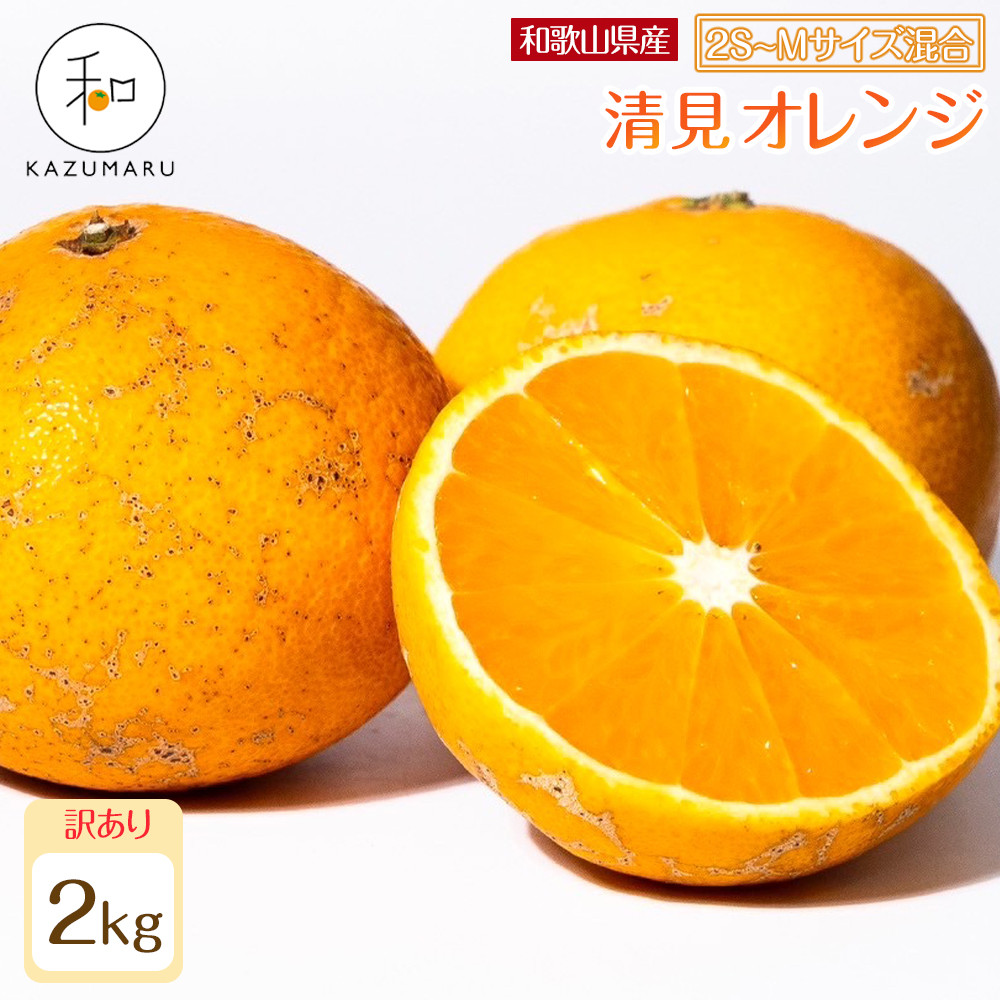󂠂 X{_̎I IW 2kg a̎RY 2S`MTCY mkCEEzsnm2026N2{5{\nmRN96na̎RߒqY7000