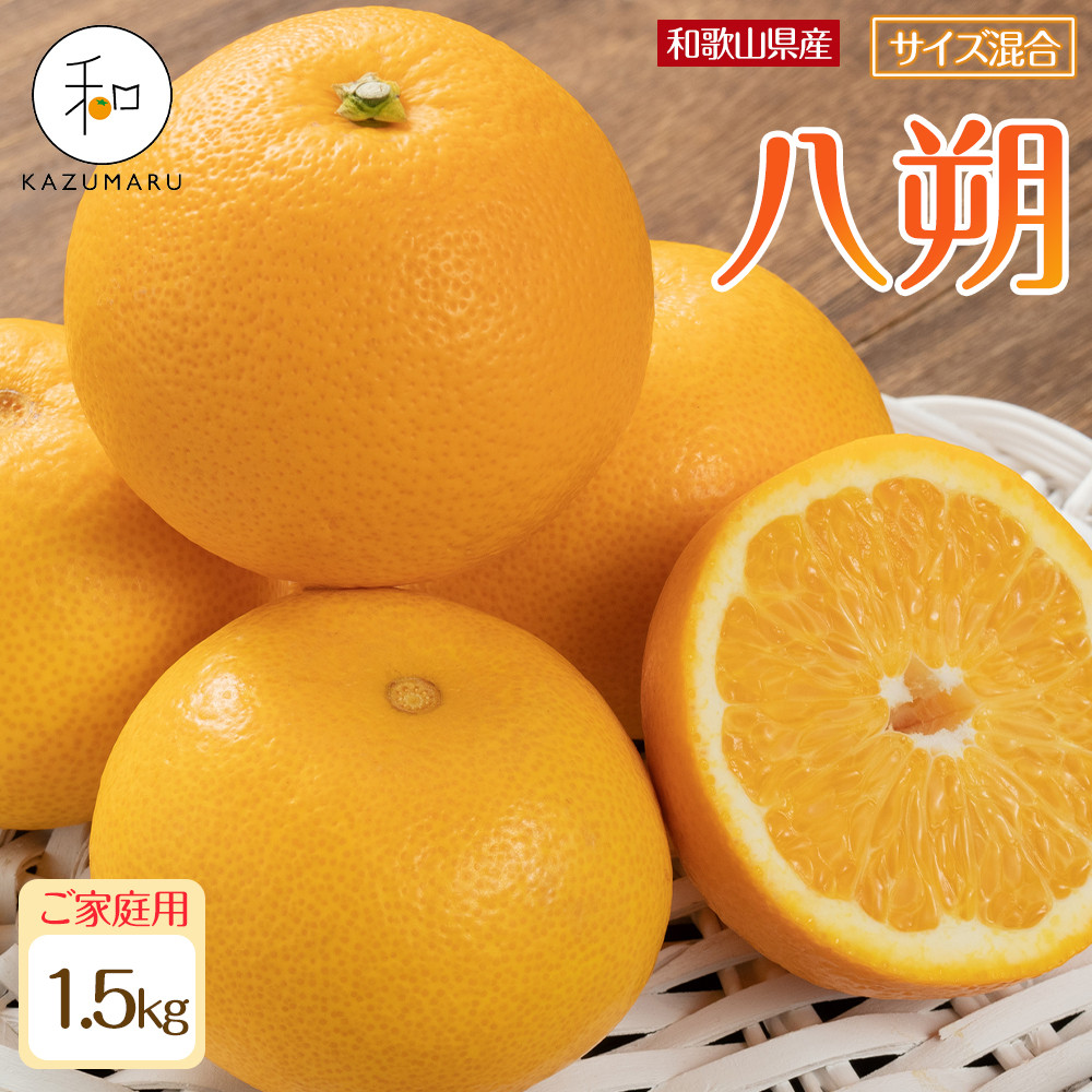 ƒp X{_̎I  1.5kg a̎RY TCY mkCEEzsnm2026N1{2{\nmRN113na̎RߒqY7000ʕEt[c