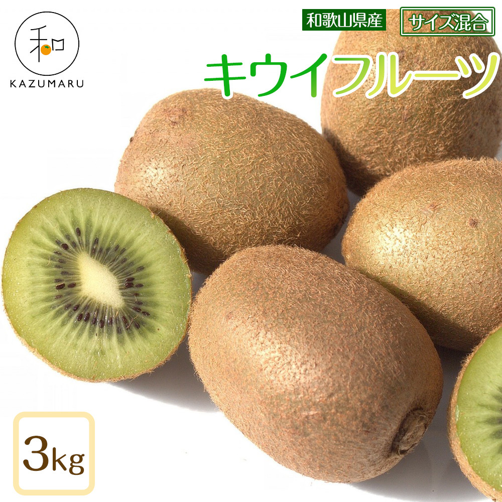 X{_ LECt[c 3kg a̎RY TCY mkCEEzsnm2026N2{珇\nmRN126na̎RߒqY12000ʕEt[c̑ ʕEt