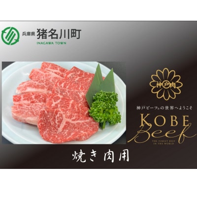 神戸ビーフ 焼肉用 500g INGWY2【配送不可地域:離島】【1431603】兵庫県猪名川町24000肉牛肉
