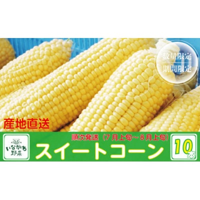 yYnz쒬YXC[gR[@10{(3`4kg)yzsnFzy1497773zɌ쒬12000؁ÊƂ낱