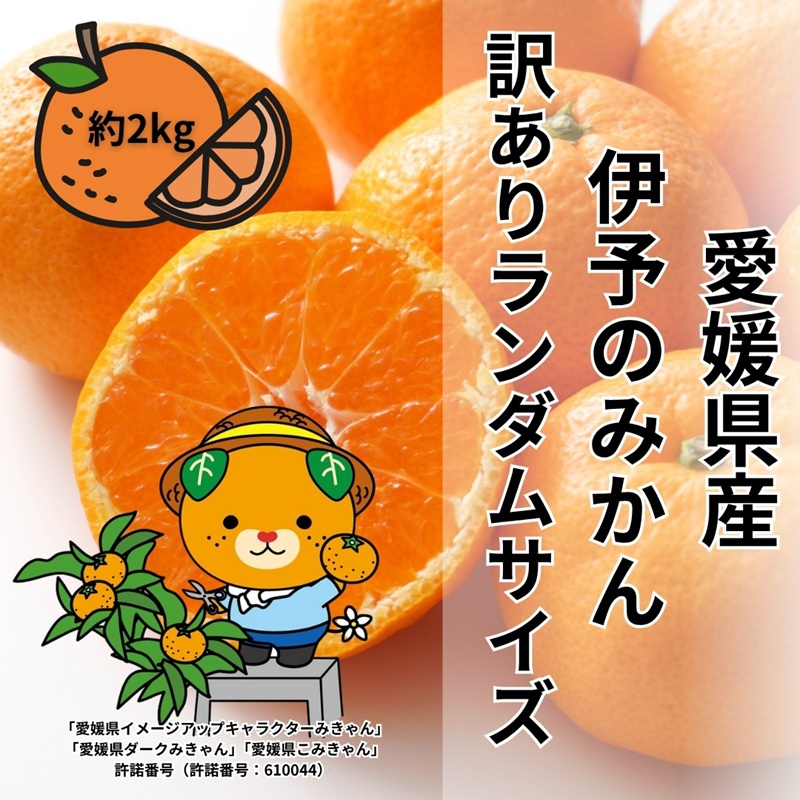 󂠂 ɗ\݂̂ 2kg TCY~bNX _ y2025N11{珇\z ݂ QY ʌ s\ k ɗ\sbA121Qɗ\s9000ʕEt[c݂Ek