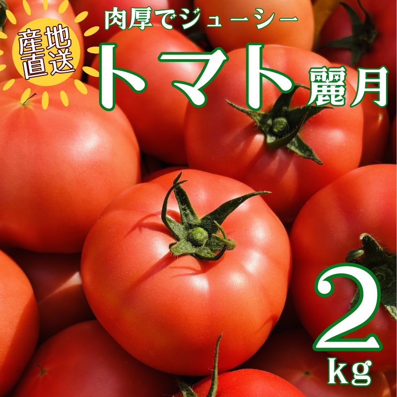 トマト 2kg 麗月 産地直送 野菜  新鮮 サラダ 赤熟 くぼなか農園 愛媛 伊予市 | A66愛媛県伊予市8000野菜・きのこトマト