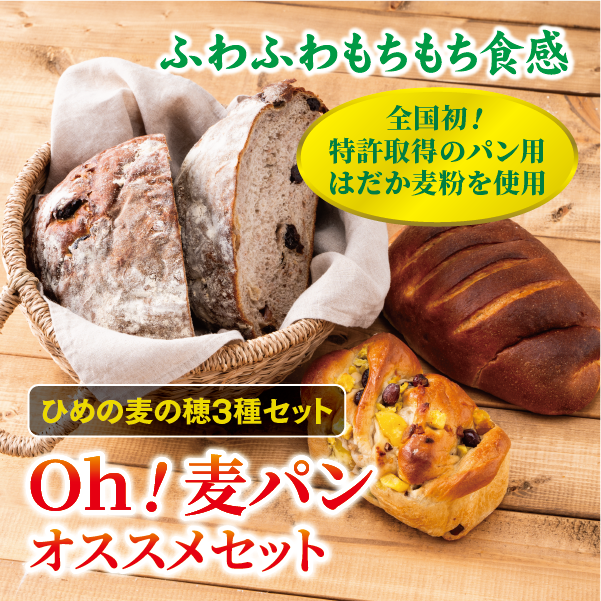 【愛媛県産大麦(はだか麦)使用】Oh!麦パン オススメセット パン 篠崎ベーカリー  詰め合わせ こだわり おすすめ 食べ比べ おやつ 朝ごはん 伊予市 老舗 | A76愛媛県伊予市8000米・パン
