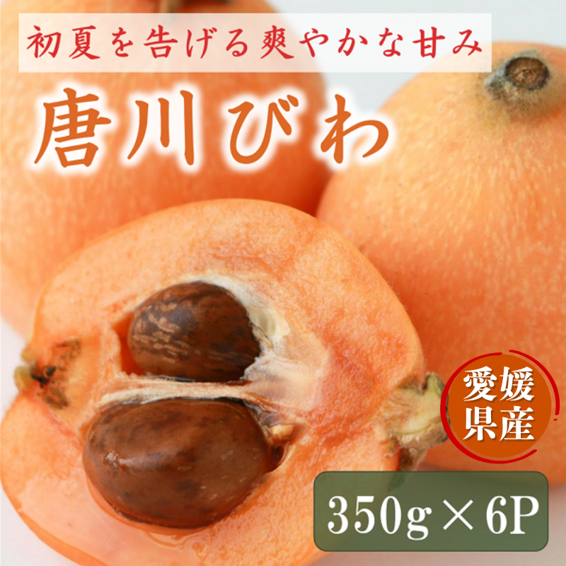 びわ 唐川びわ 先行予約 350g×6パック入り【2026年5月下旬以降発送】|B124愛媛県伊予市20000果物・フルーツその他 果物・フルーツ