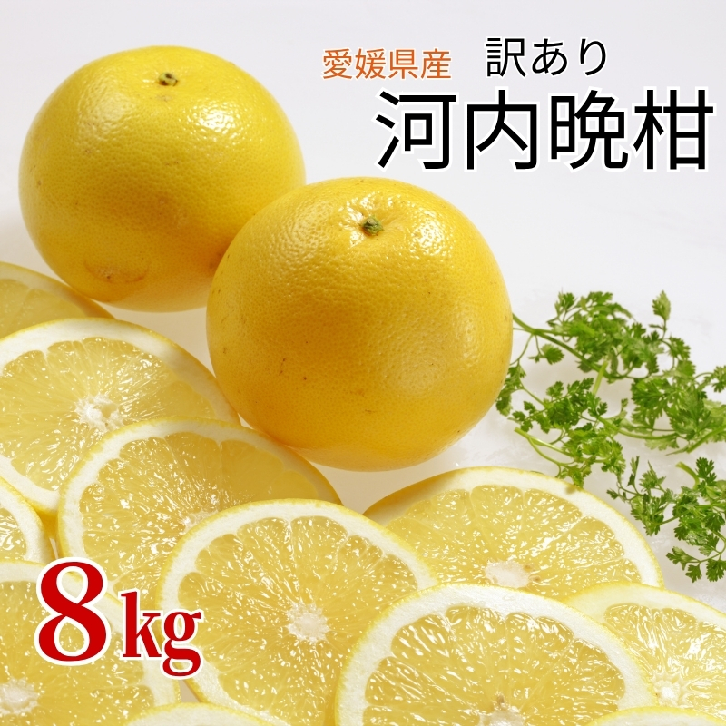 訳あり 河内晩柑 8kg ご家庭用 人気 【2026年4月以降順次発送】かわちばんかん 数量限定 先行予約  さっぱりした甘味 みかん 柑橘 蜜柑 くだもの フルーツ 国産 愛媛 伊予市|B150愛媛県伊予市1