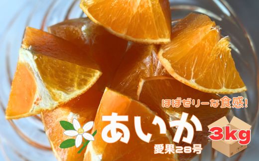 愛果28号 3kg ご家庭用 みかん 愛媛 紅まどんなと同一品種 【2025年12月から順次発送】 先行予約 数量限定 愛媛県産 人気 柑橘 伊予市|B246愛媛県伊予市12000果物・フルーツみかん・柑橘類
