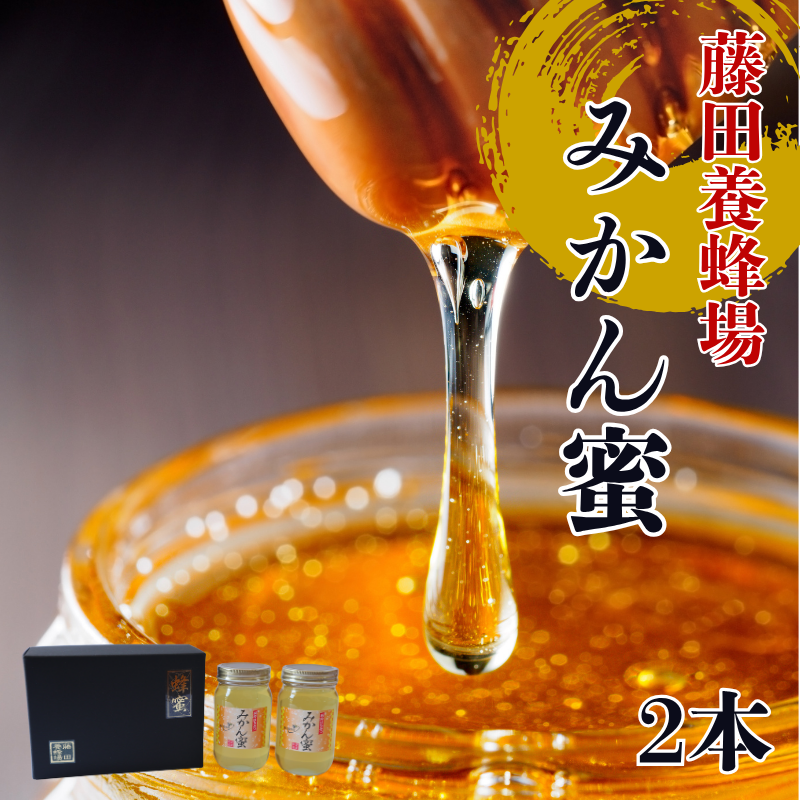 はちみつ みかん蜜 2本 柑橘 みかん 純粋はちみつ 愛媛県産 藤田養蜂場 伊予市|B250愛媛県伊予市16000鍋セット・総菜・加工食品ジャム・はちみつ