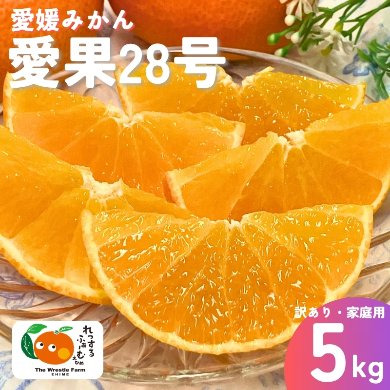 28 5kg ƒp 󂠂 bXt@[ ݂ g܂ǂȂƓi Qy2025N12{zs\ ʌ    O t[c  Q