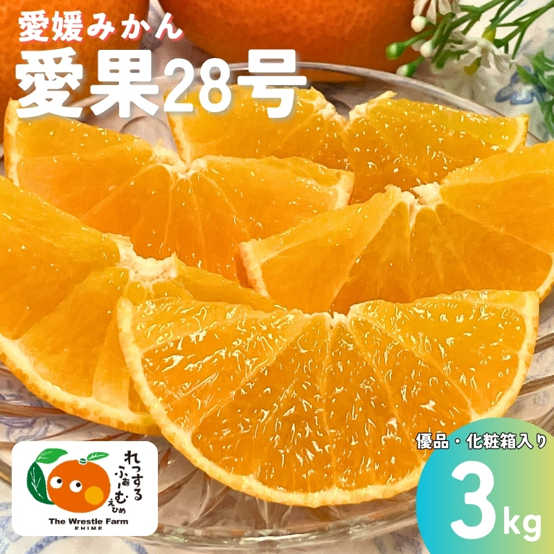 愛果28号 3kg 優品 レッスルファーム みかん 紅まどんなと同一品種 愛媛【2025年12月中旬以降順次発送】先行予約 数量限定 お取り寄せ おすすめ 美味しい おいしい グルメ フルーツ くだもの
