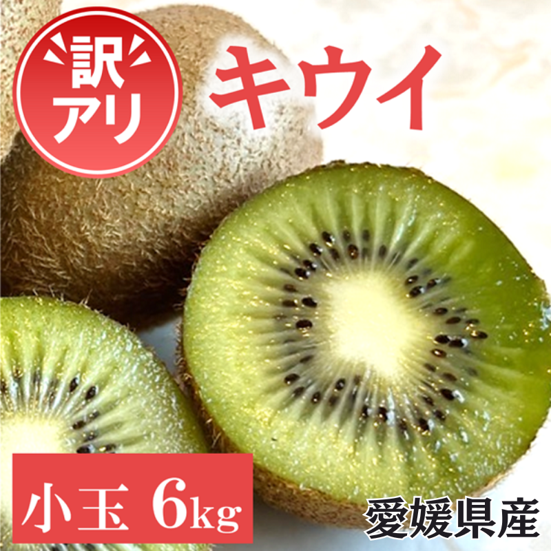 訳あり キウイ 6kg 小玉 愛媛 国産 キウイフルーツ 規格外 数量限定 伊予市 【2024年11月配送】|B265愛媛県伊予市15000果物・フルーツその他 果物・フルーツ