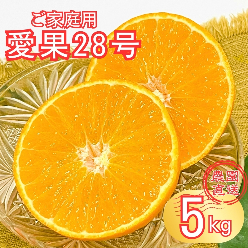 愛果28号 5kg 紅まどんな同一品種 バラ詰め ご家庭用 サイズミックス 農園直送 先行予約 12月発送 愛媛 数量限定 愛媛県産 人気 柑橘 伊予市|B274愛媛県伊予市20000果物・フルーツみかん・柑橘