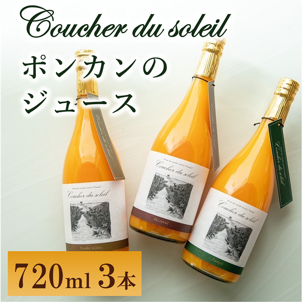 ݂ W[X 3{  |J Coucher du soleil oC ɗ\sbB385Qɗ\s15000Eʏ`E؈