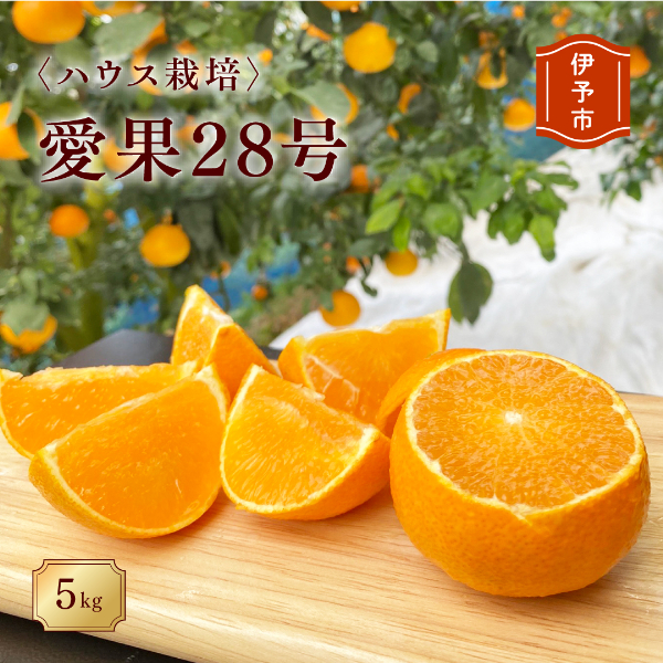 ݂ Q 28inEX͔|j5kg g܂ǂȂƓi ƒp TCY~bNX y2025N12{珇z\z lC ʌ k ɗ\sbB40Qɗ\s20000ʕEt[c
