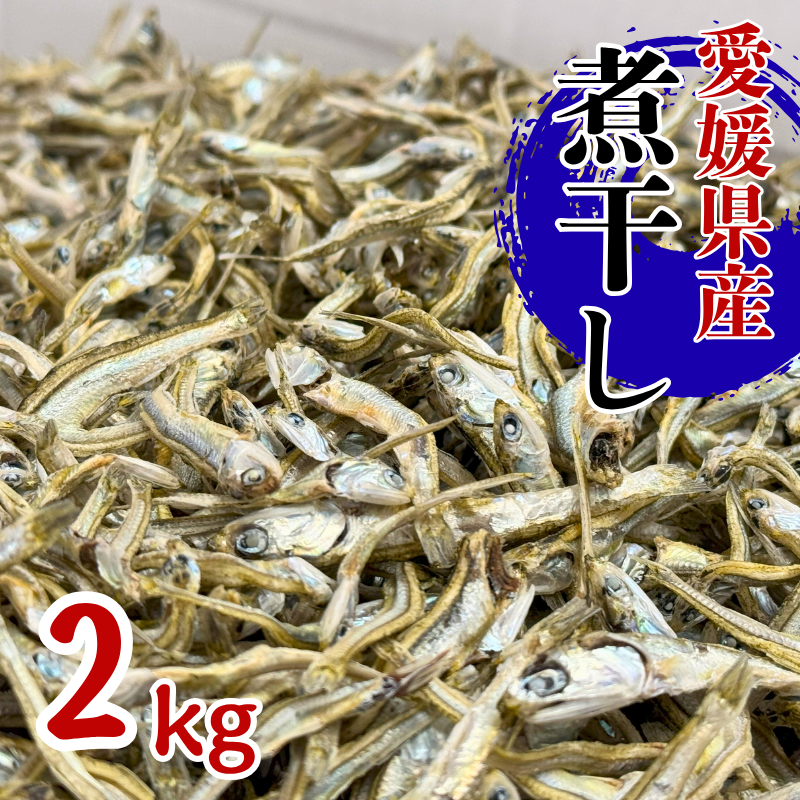 伊予煮干 いりこ 2kg 【10月以降発送】 伊予灘産 瀬戸内海 出汁 料理 おやつ カルシウム 健康 サクサク食感 海の幸 海産物 乾物 魚介類 おつまみ 保存食 特産品 愛媛 伊予市|B422愛媛県伊予市1