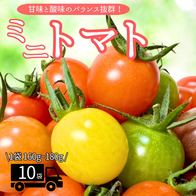 ミニトマト 160g〜180g×10袋 カラートマト 【2025年12月上旬から順次発送予定】 食べくらべ 農園直送 完熟 愛媛 人気 伊予市|B81愛媛県伊予市13000野菜・きのこトマト