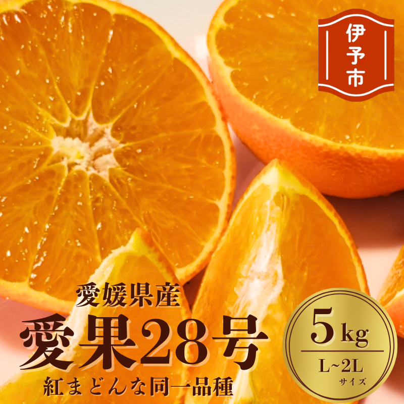 みかん 愛媛 愛果28号 5kg 紅まどんな同一品種 贈答用 L~2L キャップ付き 人気 数量限定 先行予約 柑橘 伊予市 【2025年12月から順次発送予定】|B84愛媛県伊予市20000果物・フルーツみかん・柑橘