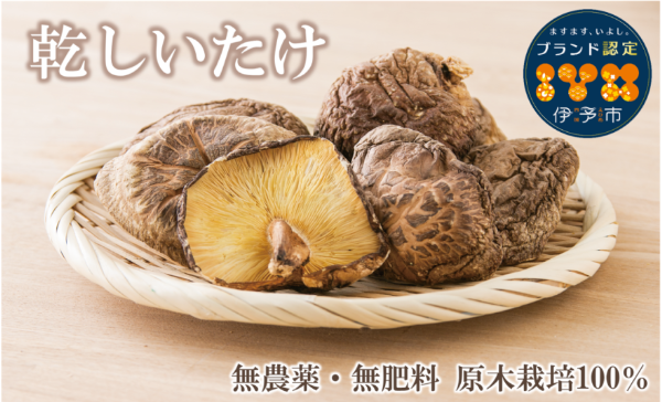  o` o`̂܂ɗ\̊ 180g aH {io` ő ؍͔| ܖ  Nz }t N N Nn ɗ\sbB85Qɗ\s11000E