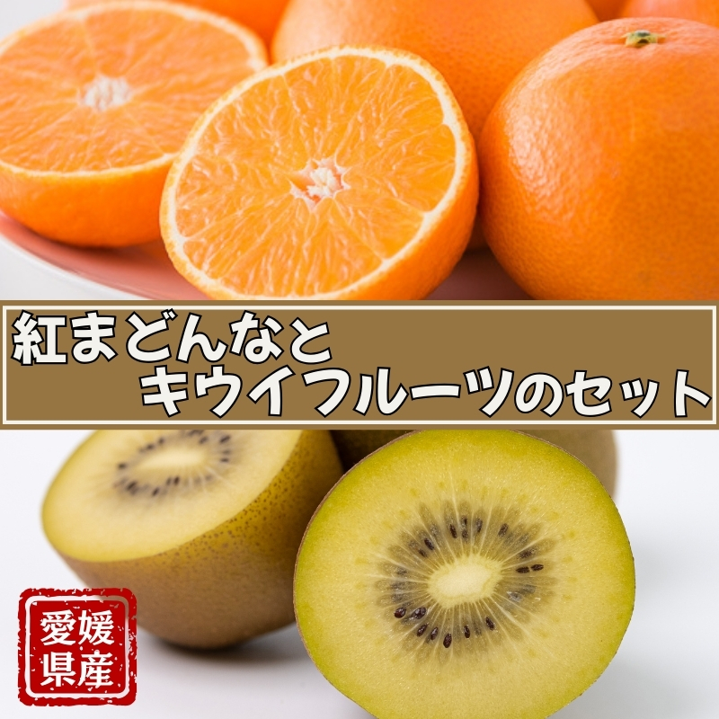 みかん 愛媛 サンゴールドキウイ ゴールドキウイ 【2025年11月下旬順次発送予定】 サンゴールドまたはゴールドキウイと紅まどんなのセット 人気 数量限定 柑橘 伊予市|B88愛媛県伊予市18000