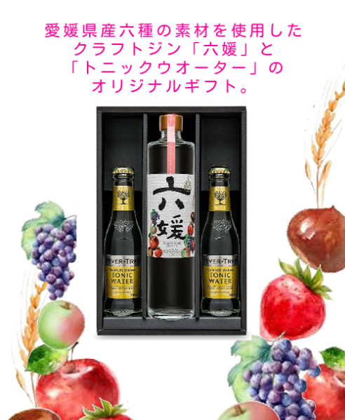 道後ジン 六媛・トニックセット(G6-500)クラフトジン トニックウォーター 愛媛県産 ボタニカル|C03愛媛県伊予市26000酒・アルコールウイスキー・洋酒・リキュール