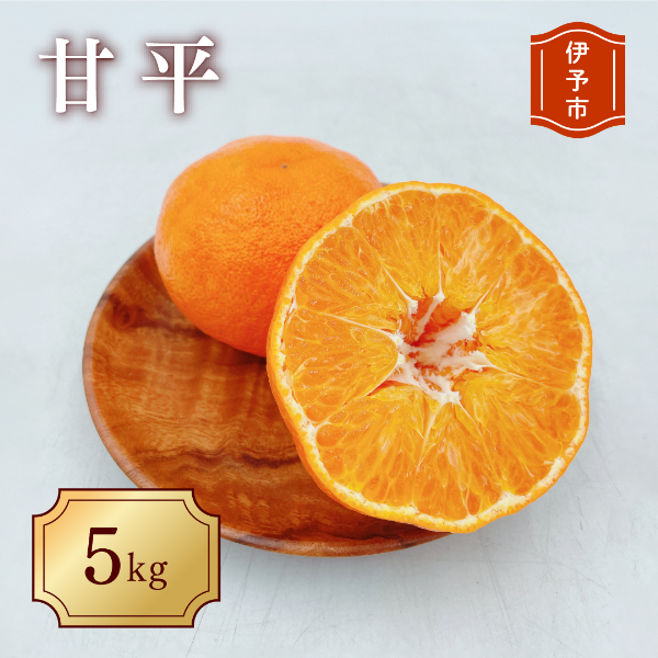 みかん 愛媛 甘平(約5kg)家庭用 L〜3Lサイズ 人気 数量限定 先行予約 柑橘 伊予市|C51愛媛県伊予市22000果物・フルーツみかん・柑橘類