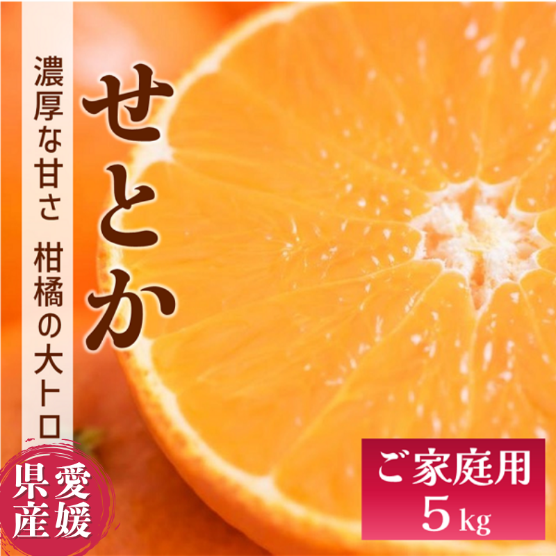 せとか バラ詰め 5kg 先行予約 【2026年2月以降発送】 愛媛 数量限定 愛媛県産 人気 柑橘 伊予市|C55愛媛県伊予市20000果物・フルーツみかん・柑橘類