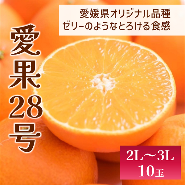 愛果28号 10玉入り 紅まどんな同一品種 先行予約 12月以降順次発送予定 愛媛 数量限定 愛媛県産 人気 柑橘 伊予市|C56愛媛県伊予市20000果物・フルーツみかん・柑橘類