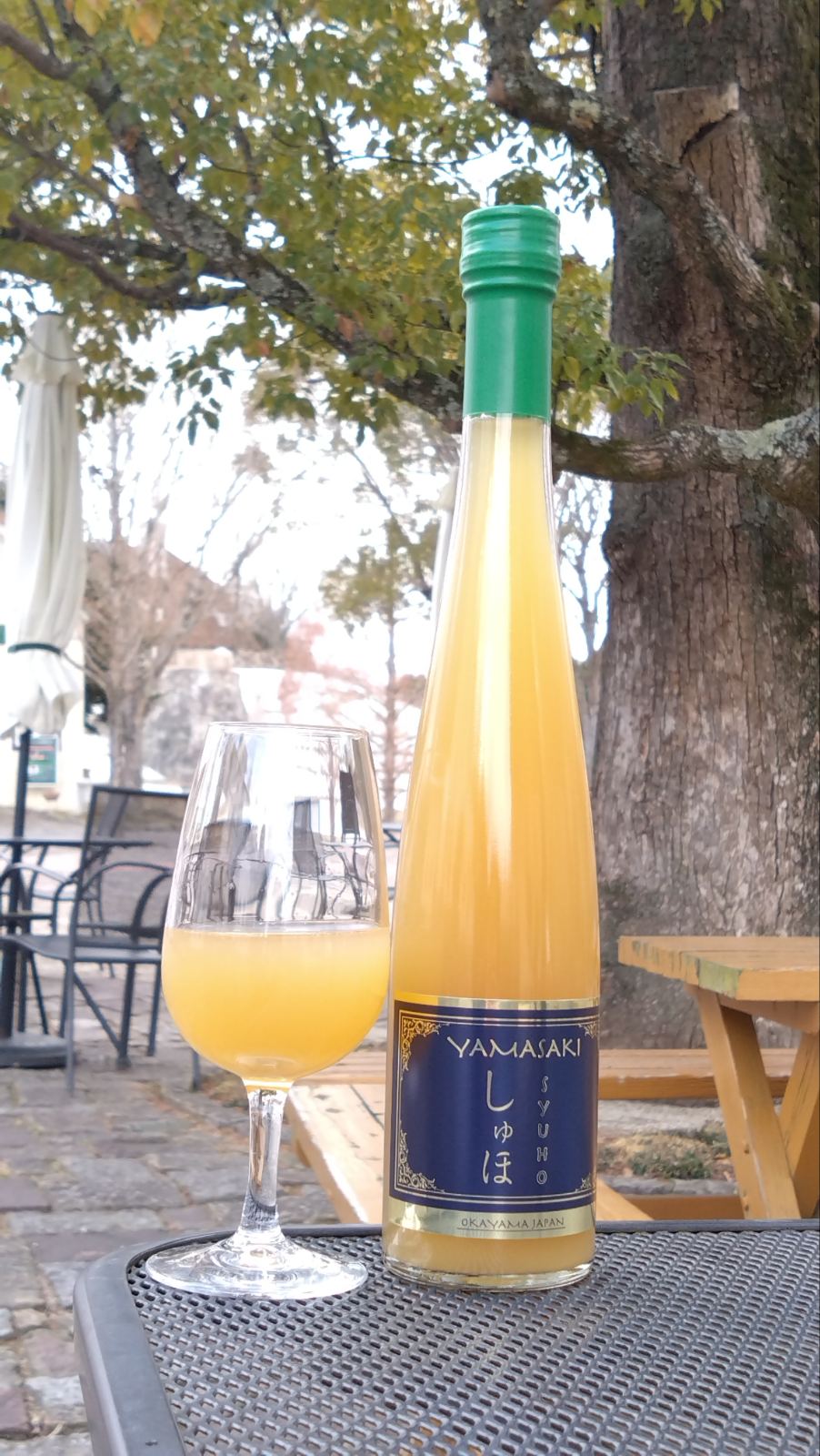 AC-30 和気ワイン りんご(甘口・果実酒)岡山県和気町13000酒・アルコールワイン