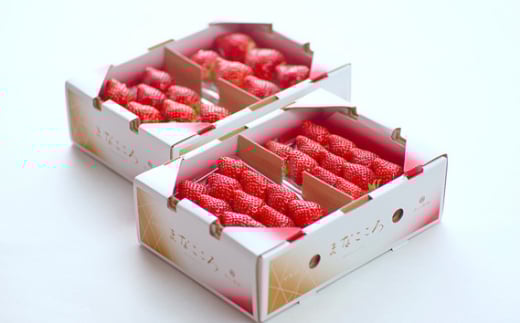 【先行予約】とちおとめ【4パック×260g】まなこころ・葵埼玉県東松山市20000果物・フルーツいちご