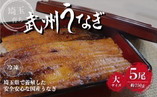 国産うなぎ蒲焼 大サイズ 5尾/約750g 冷凍真空パック埼玉県東松山市60000魚介・海産物うなぎ