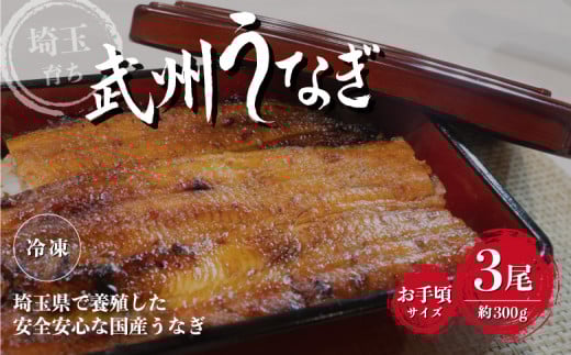 国産うなぎ蒲焼 お手頃サイズ  3尾/約300g冷凍真空パック埼玉県東松山市27000魚介・海産物うなぎ