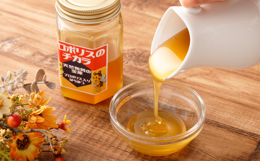 プロポリスのチカラ 180g 蜂蜜 ハチミツ福岡県香春町9000鍋セット・総菜・加工食品ジャム・はちみつ