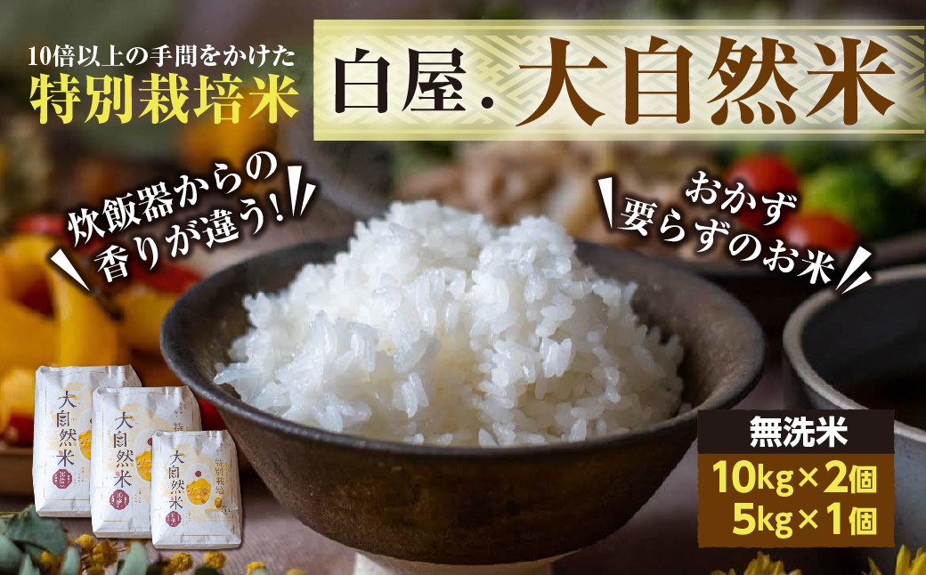 福岡県香春町産 夢つくし 大自然米 無洗米 計25kg 10kg×2袋+5kg×1袋 / 白米 無洗米 米 お米 国産 福岡県産 令和6年産福岡県香春町83000米・パン白米