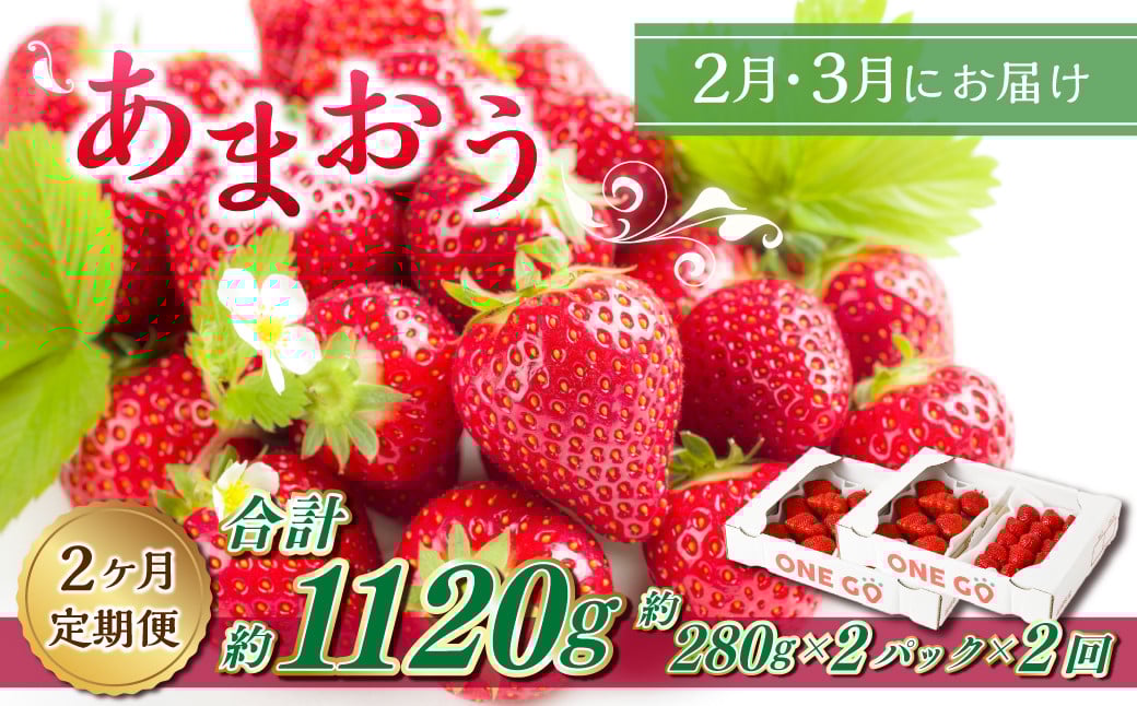 y2ցzGRt@[}[ ܂ i280g×2pbNj×2 v1120gyʌzy2026N2{3{z   C`S x[ ʕ t[c  fU[g