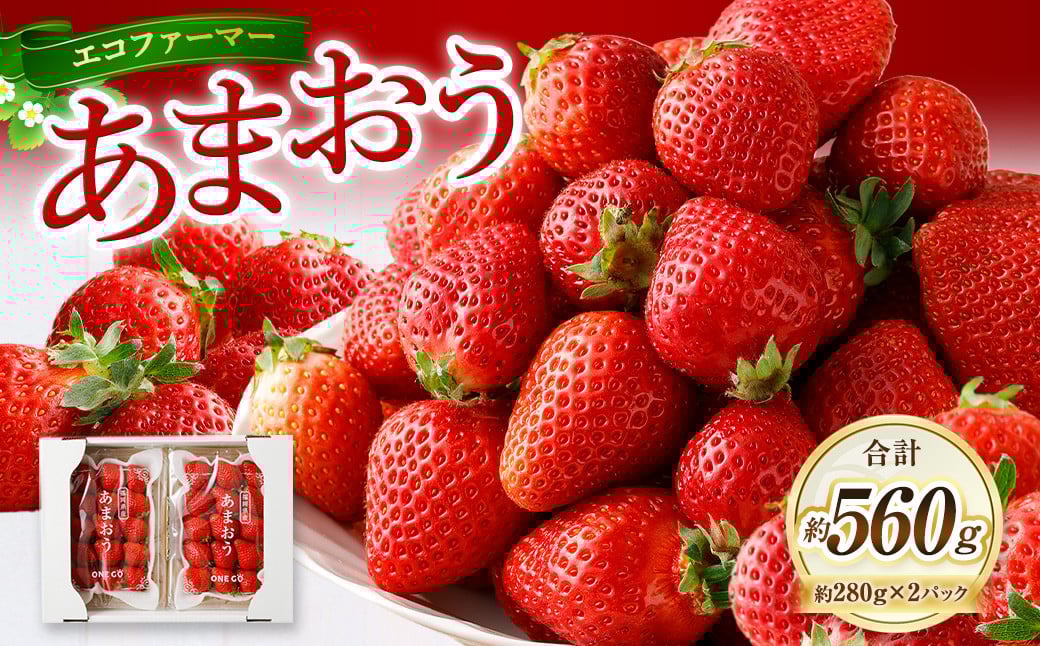 y2026N3zGRt@[}[ ܂ 280g×2pbN v560g /   C`S x[ ʕ t[c  fU[g t8000ʕEt[c
