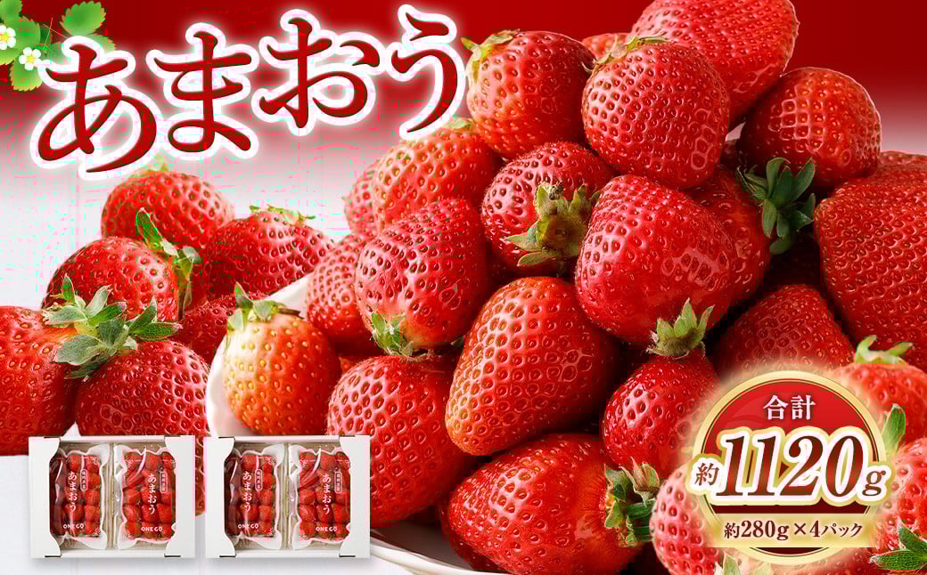 y3zyʌz ܂ 280g×4pbN v1,120g y2026N3{珇\z   C`S x[ ʕ t[c fU[g    t ①